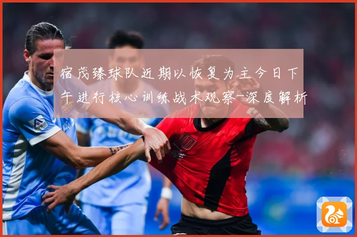 宿茂臻球队近期以恢复为主今日下午进行核心训练战术观察-深度解析