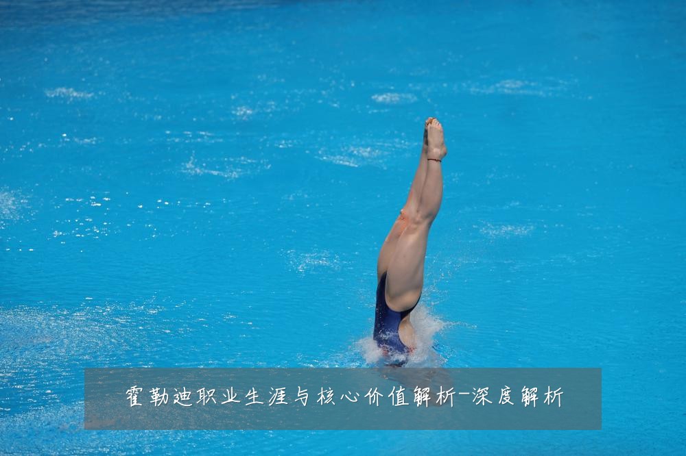 霍勒迪职业生涯与核心价值解析-深度解析